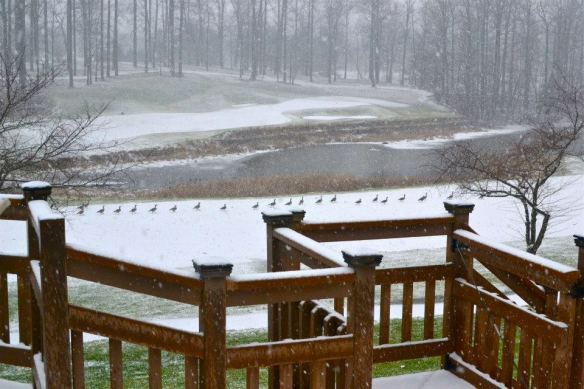 526018_10151173866396681_1498376096_n